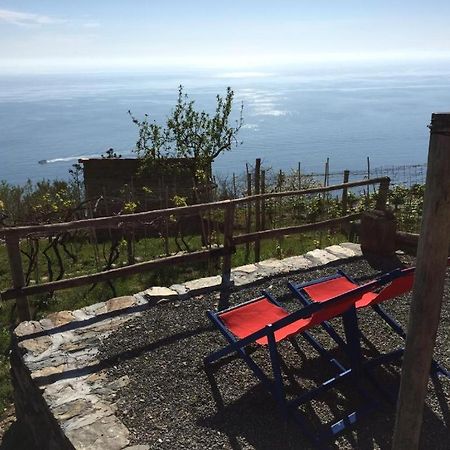 Il Nettare Agriturismo Villa Riomaggiore Luaran gambar