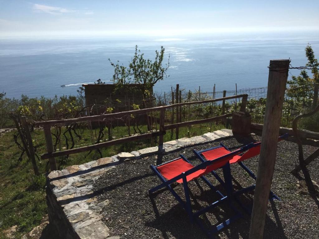 Il Nettare Agriturismo Villa Riomaggiore Luaran gambar