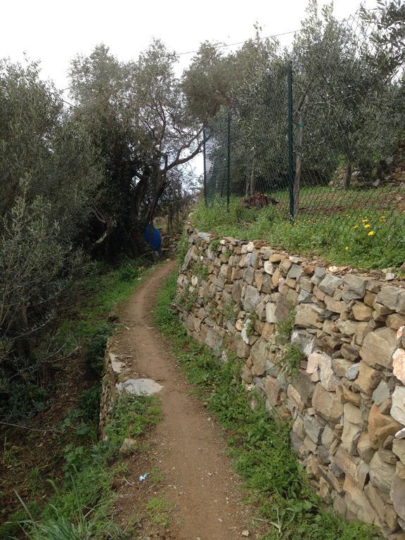 Il Nettare Agriturismo Villa Riomaggiore Luaran gambar