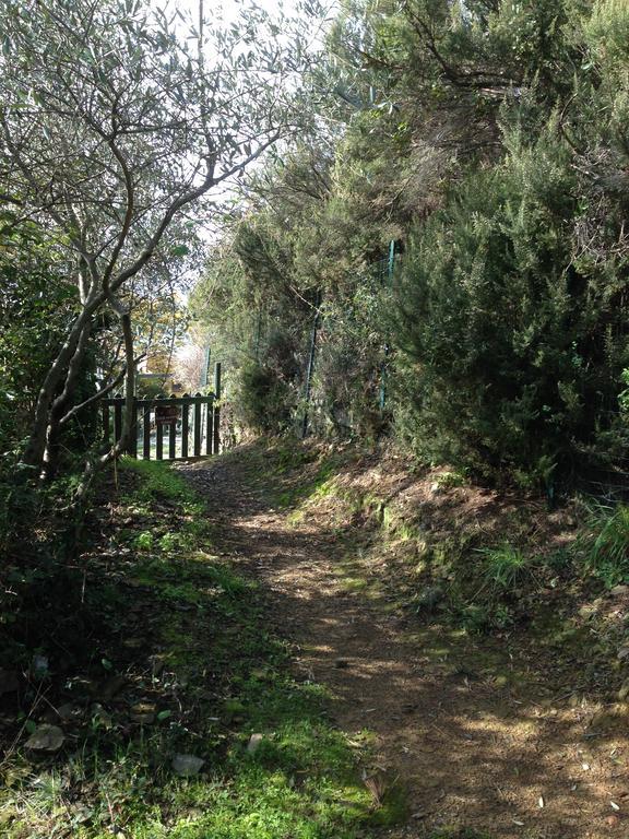 Il Nettare Agriturismo Villa Riomaggiore Luaran gambar