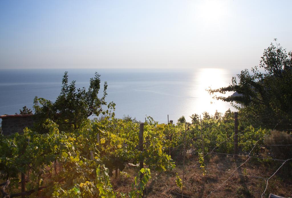 Il Nettare Agriturismo Villa Riomaggiore Luaran gambar